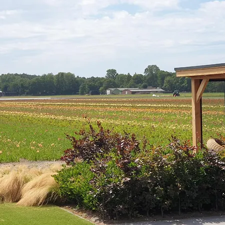 De Wilg - Adults Only * Noordwijk