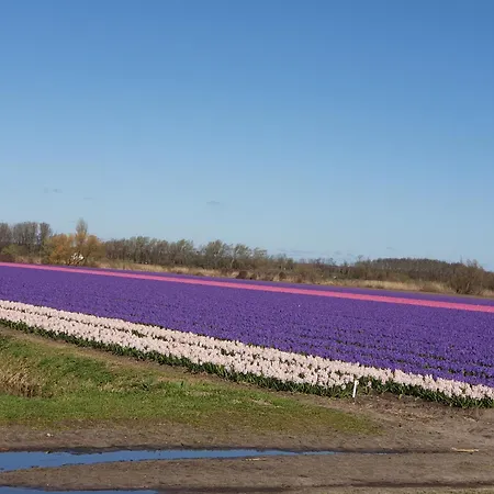 De Wilg - Adults Only