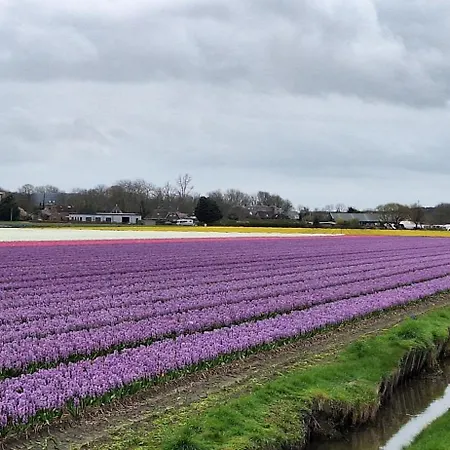 アパート De Wilg - Adults Only ノールトウェイク