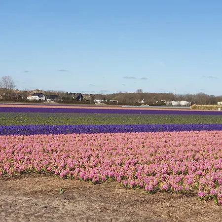 アパート De Wilg - Adults Only