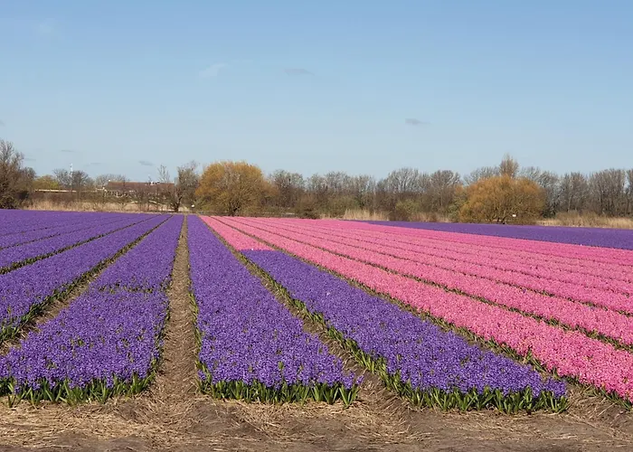 De Wilg - Adults Only Apartment *