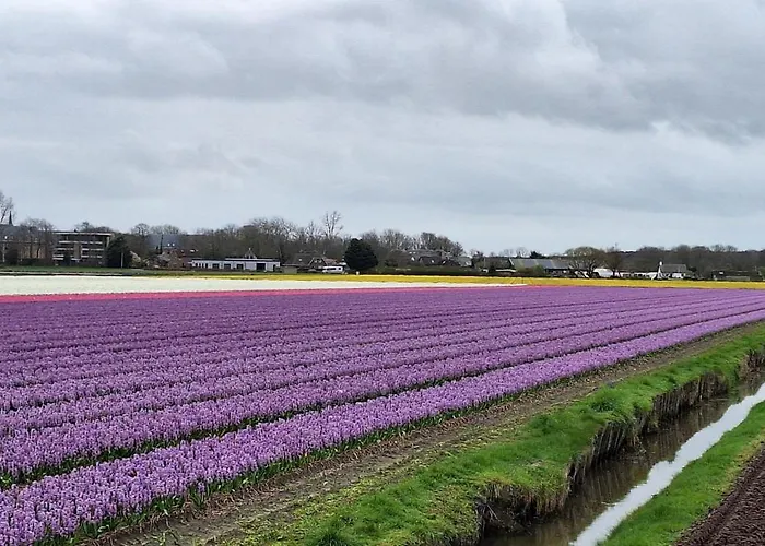 Daire De Wilg - Adults Only Noordwijk