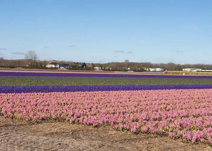 Appartamento De Wilg - Adults Only