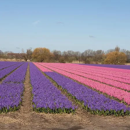 De Wilg - Adults Only דירה *