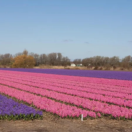 Apartment De Wilg - Adults Only