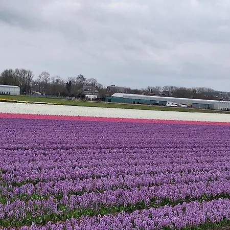 De Wilg - Adults Only