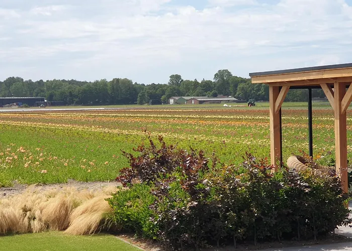 De Wilg - Adults Only * נורדוויק