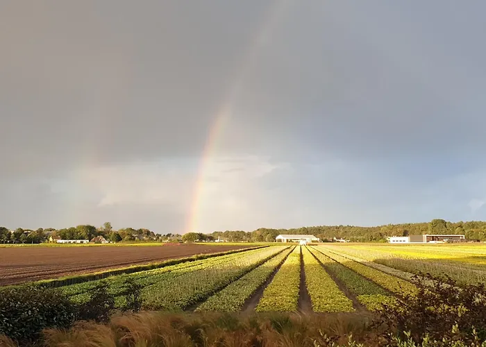 De Wilg - Adults Only Apartment Noordwijk