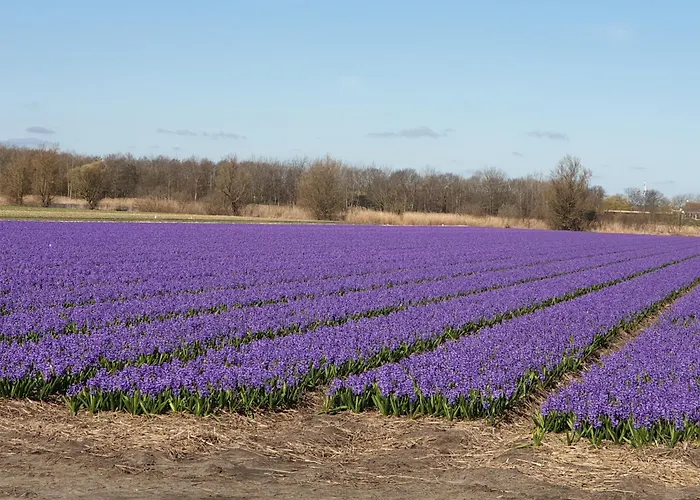 De Wilg - Adults Only *