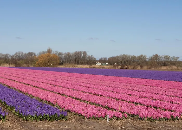 דירה De Wilg - Adults Only